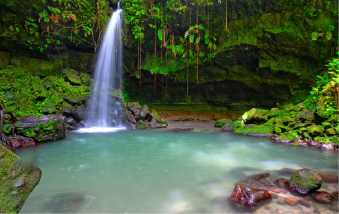 Dominica